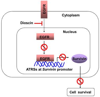 J Cancer Image