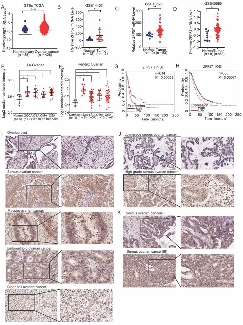 J Cancer Image