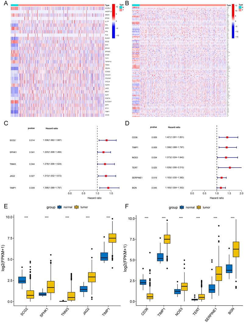 J Cancer Image