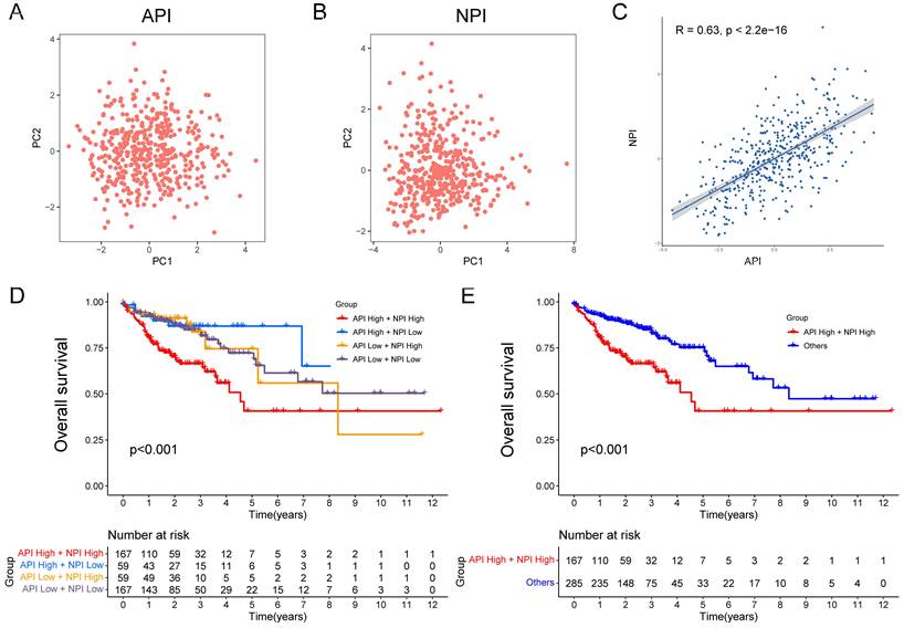 J Cancer Image