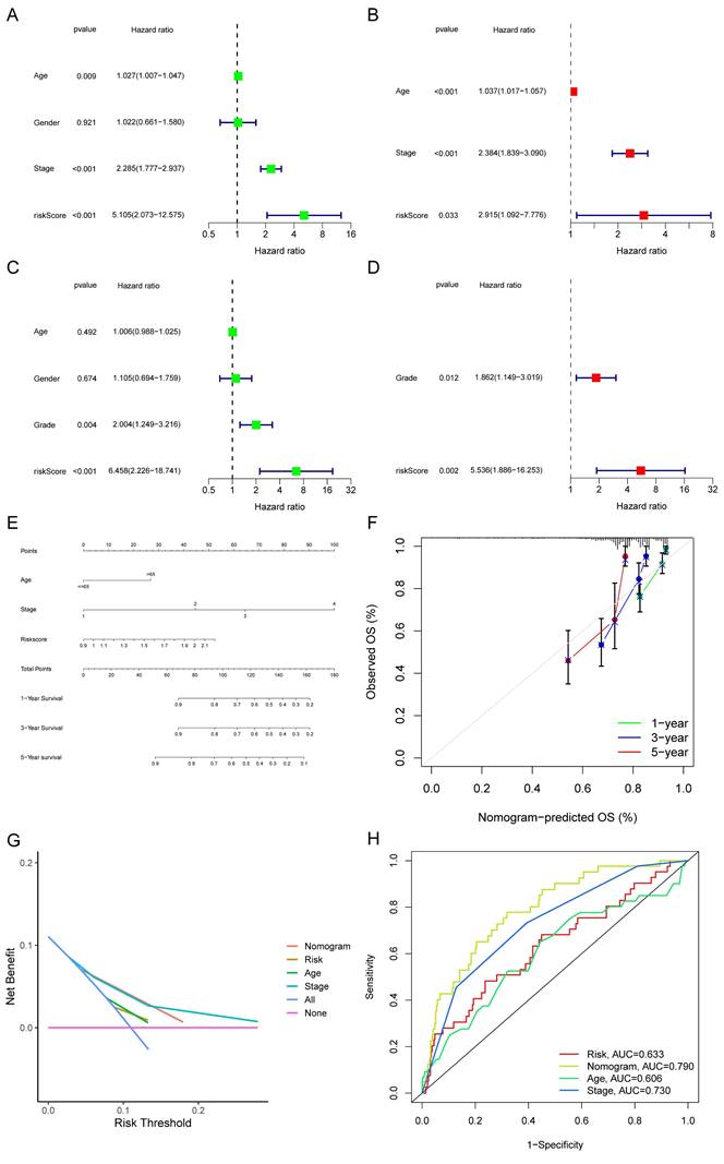 J Cancer Image