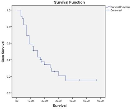 J Cancer Image