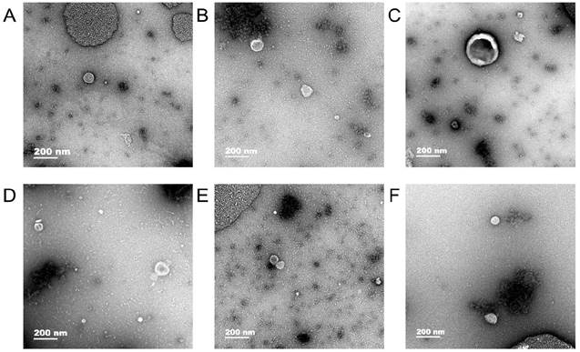 J Cancer Image