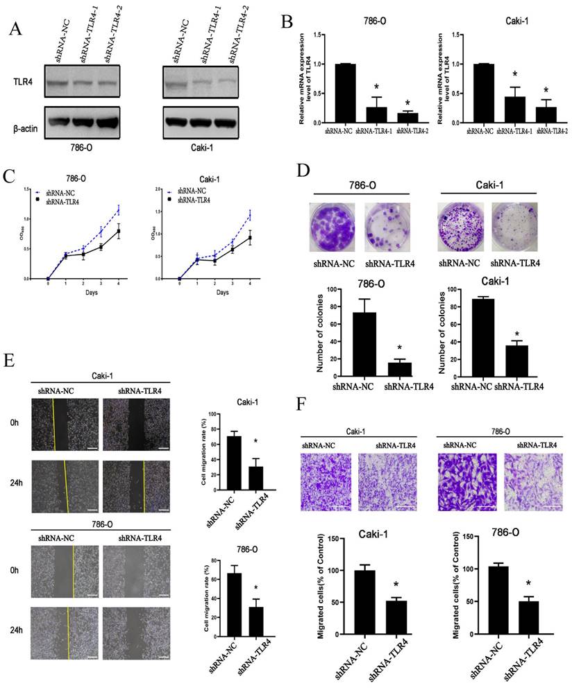 J Cancer Image