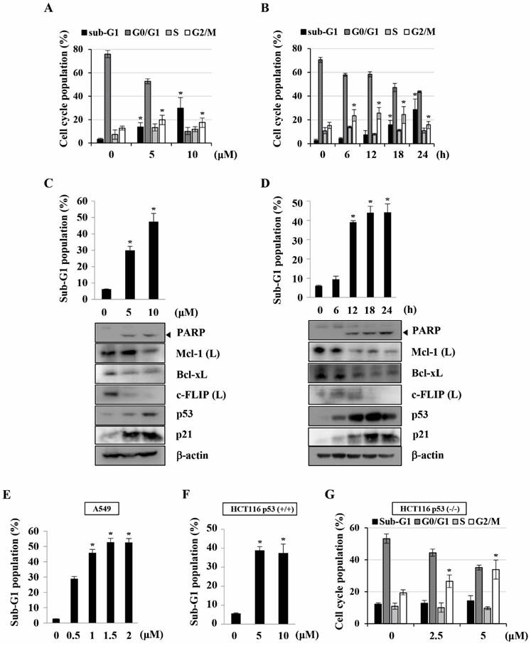 J Cancer Image