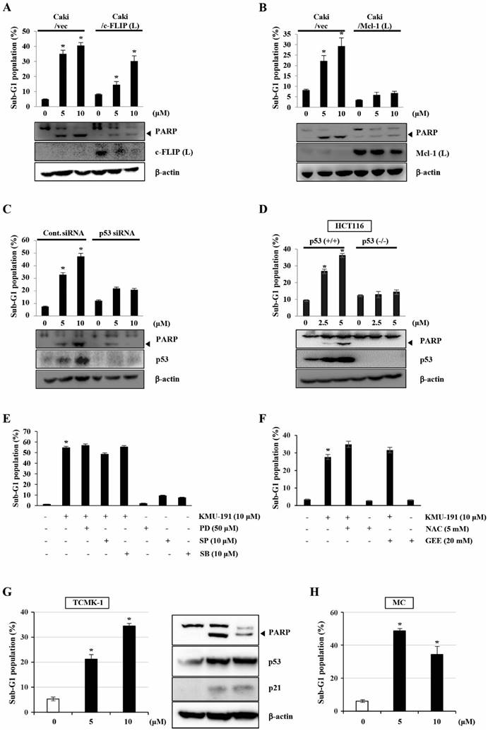 J Cancer Image