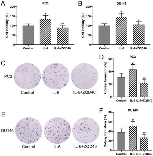 J Cancer Image