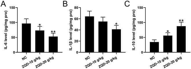 J Cancer Image