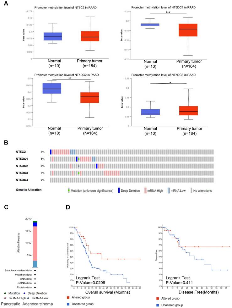 J Cancer Image