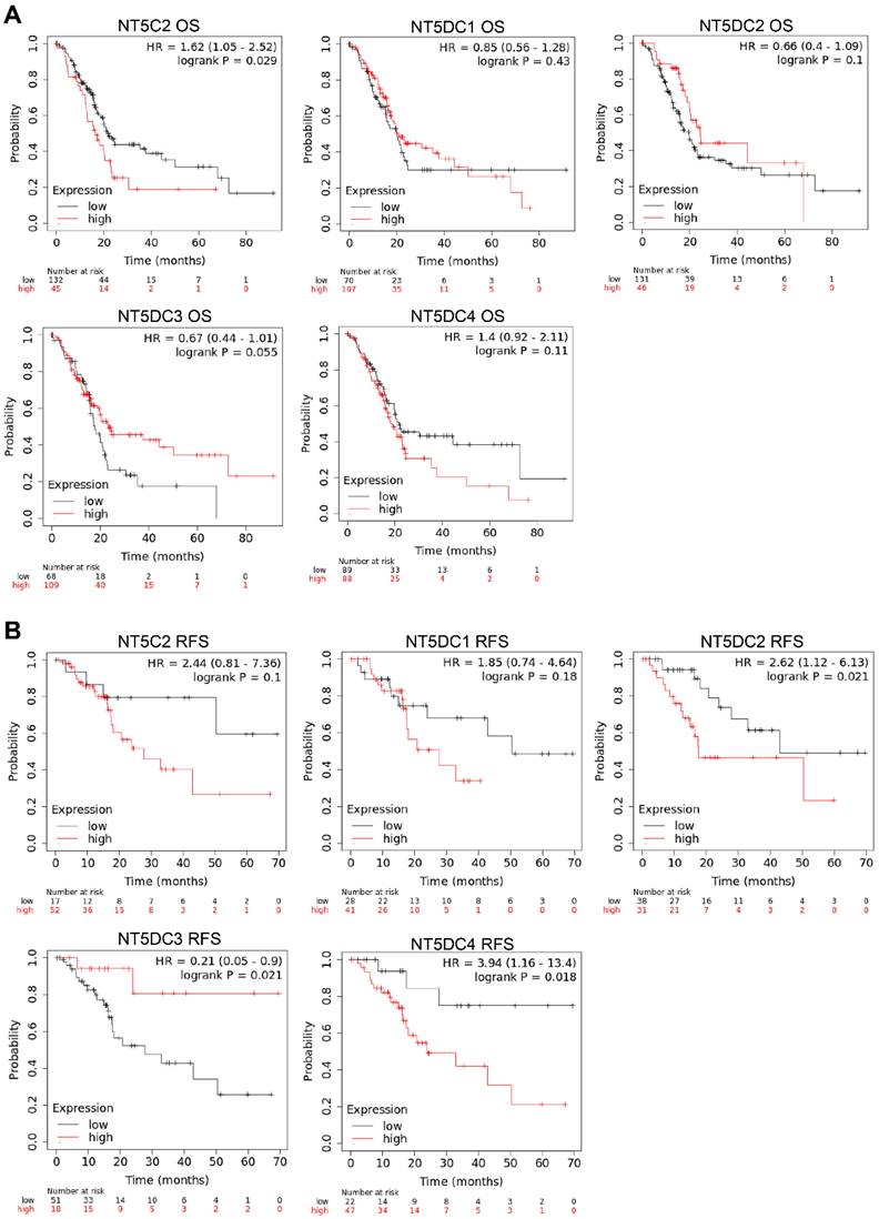 J Cancer Image