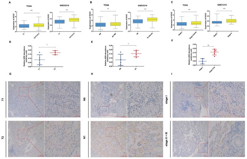 J Cancer Image