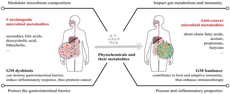 J Cancer Image