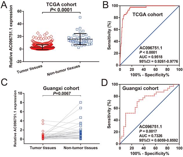 J Cancer Image