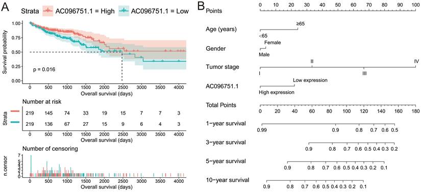 J Cancer Image