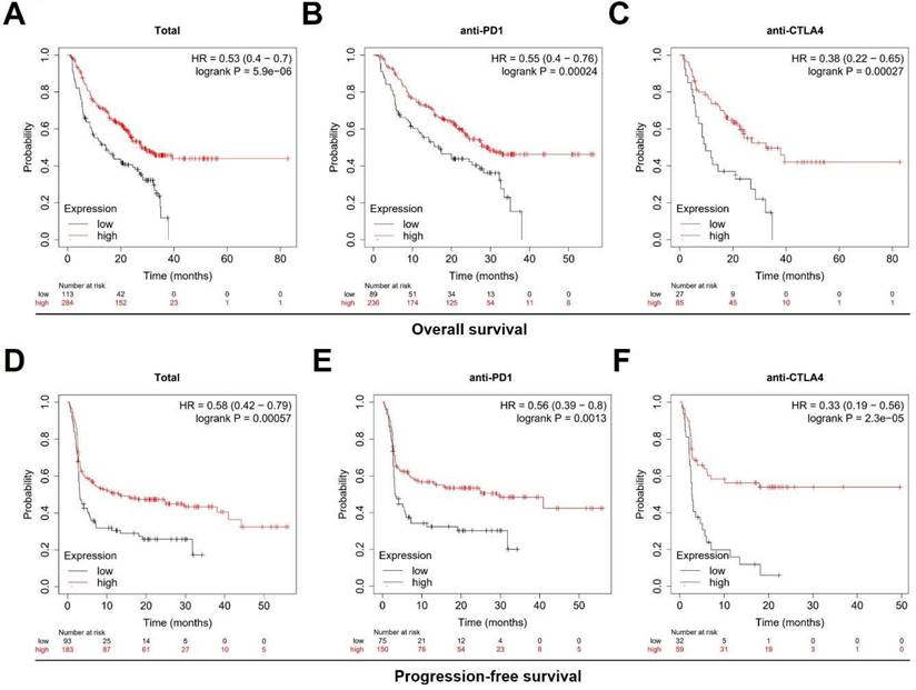 J Cancer Image