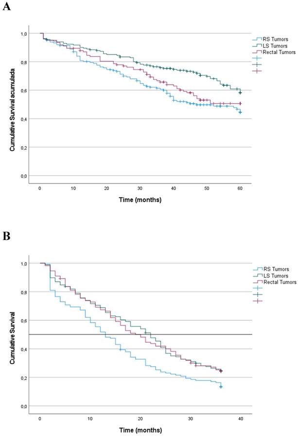 J Cancer Image