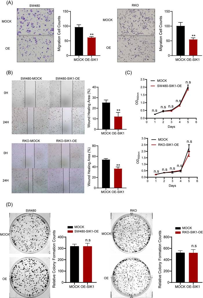 J Cancer Image