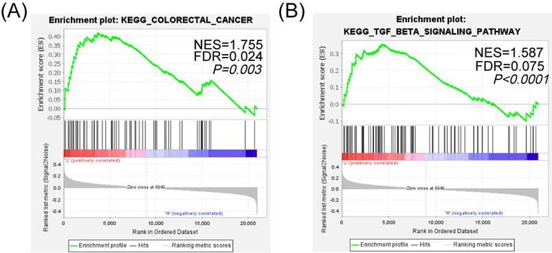 J Cancer Image