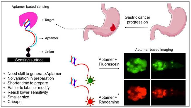 J Cancer Image