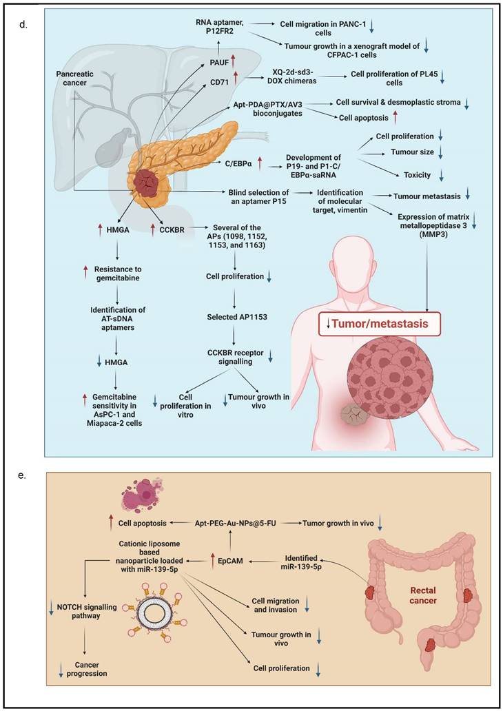 J Cancer Image