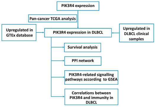 J Cancer Image