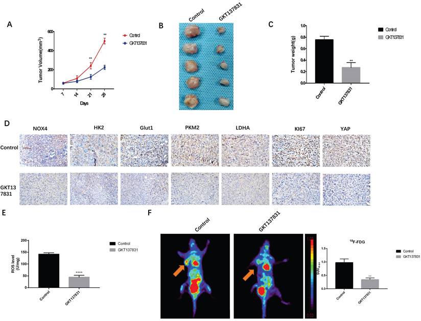 J Cancer Image