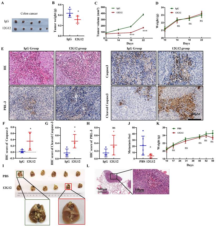 J Cancer Image