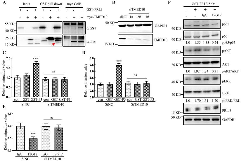 J Cancer Image