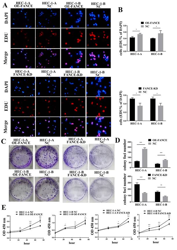 J Cancer Image