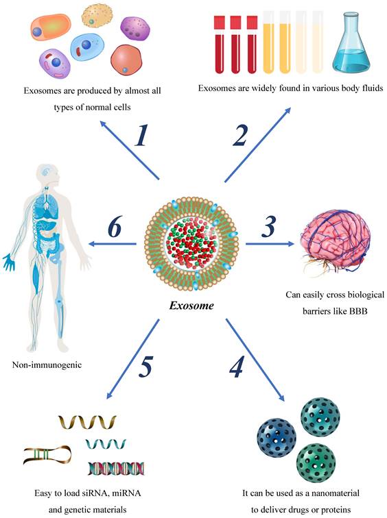 J Cancer Image