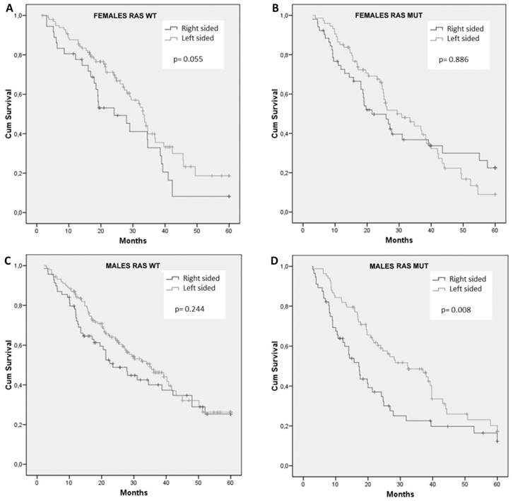 J Cancer Image