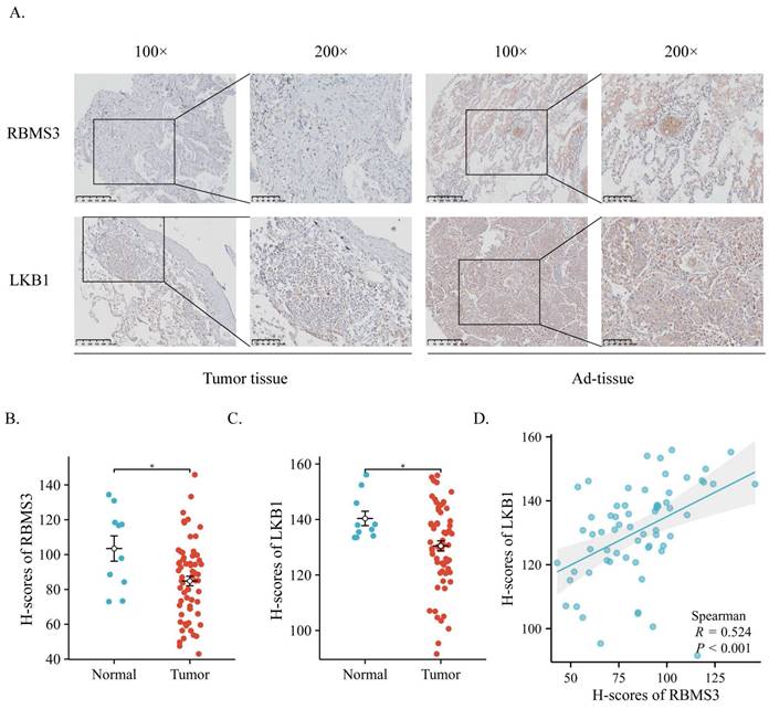 J Cancer Image