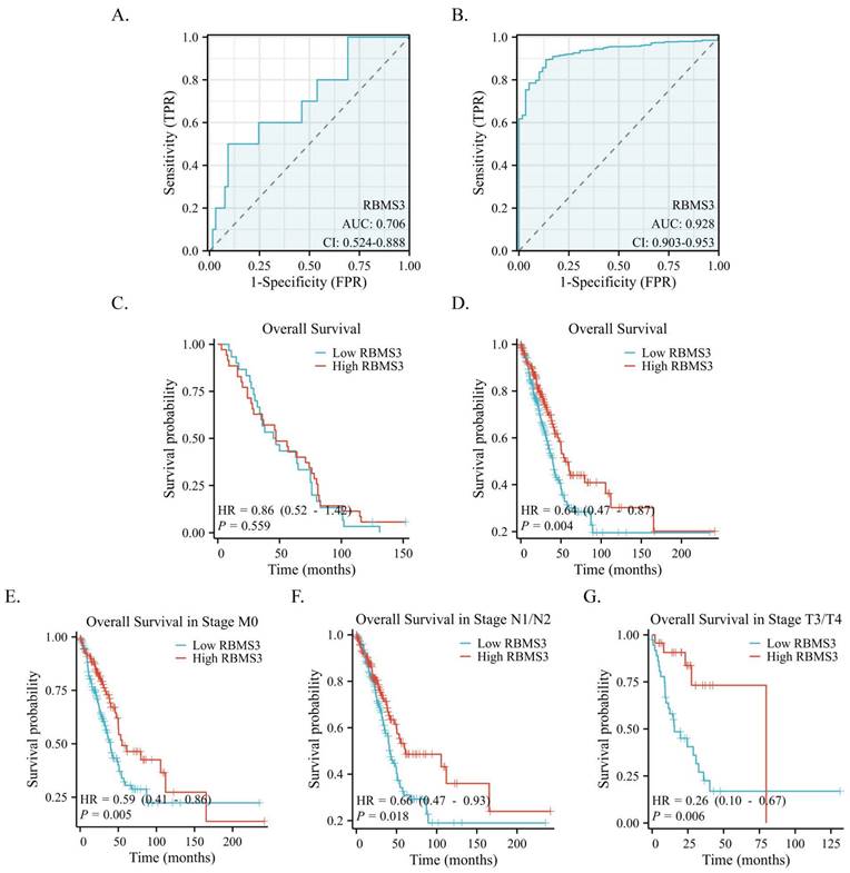 J Cancer Image