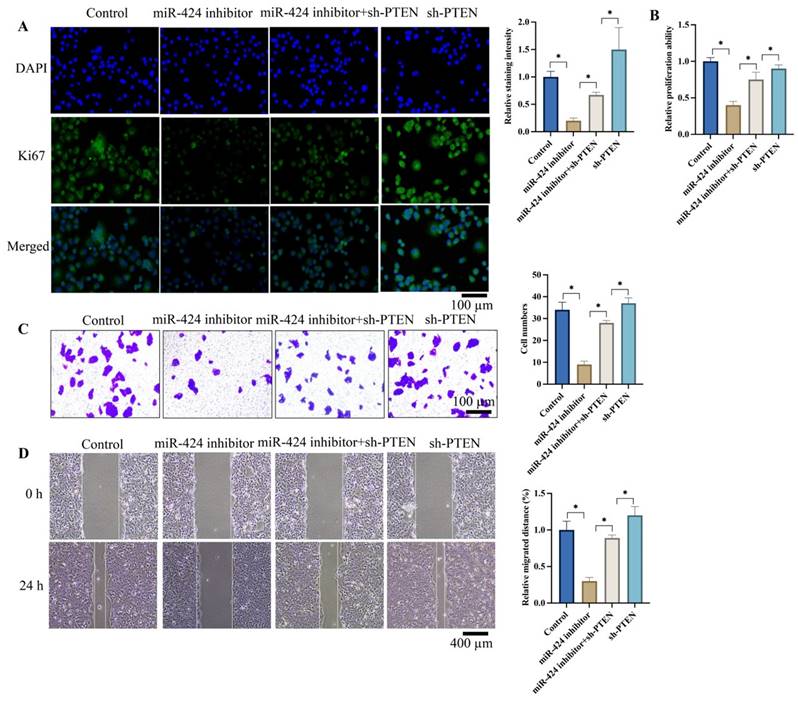 J Cancer Image