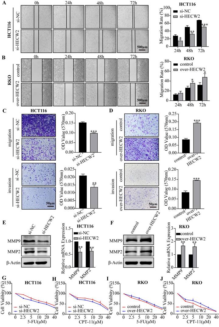 J Cancer Image