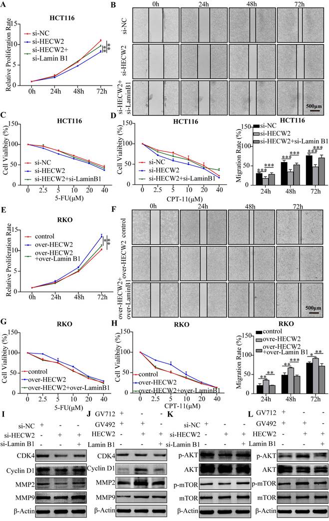 J Cancer Image