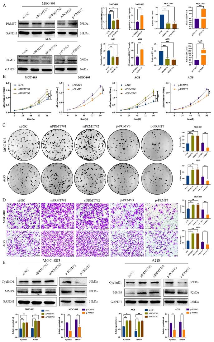 J Cancer Image