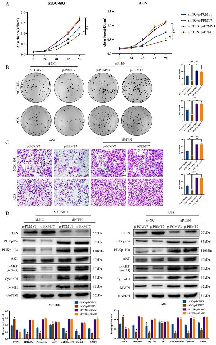 J Cancer Image