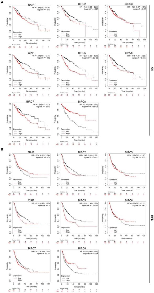 J Cancer Image