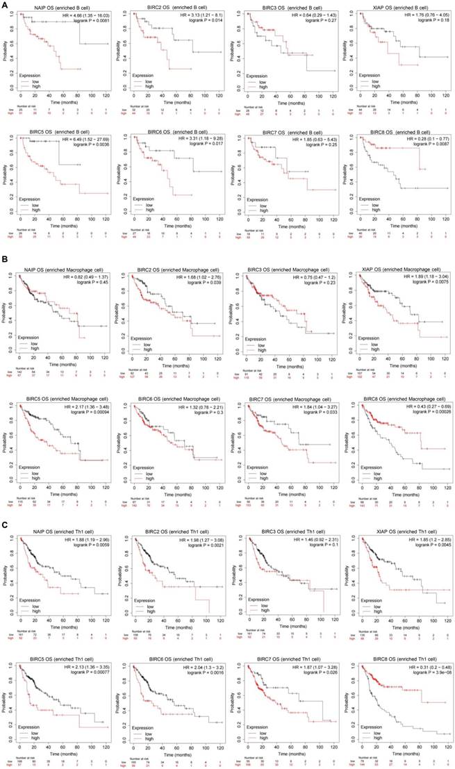 J Cancer Image