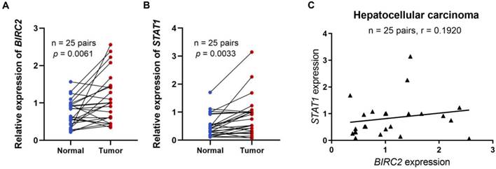 J Cancer Image