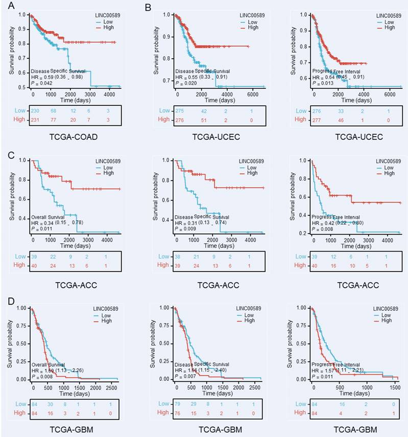 J Cancer Image