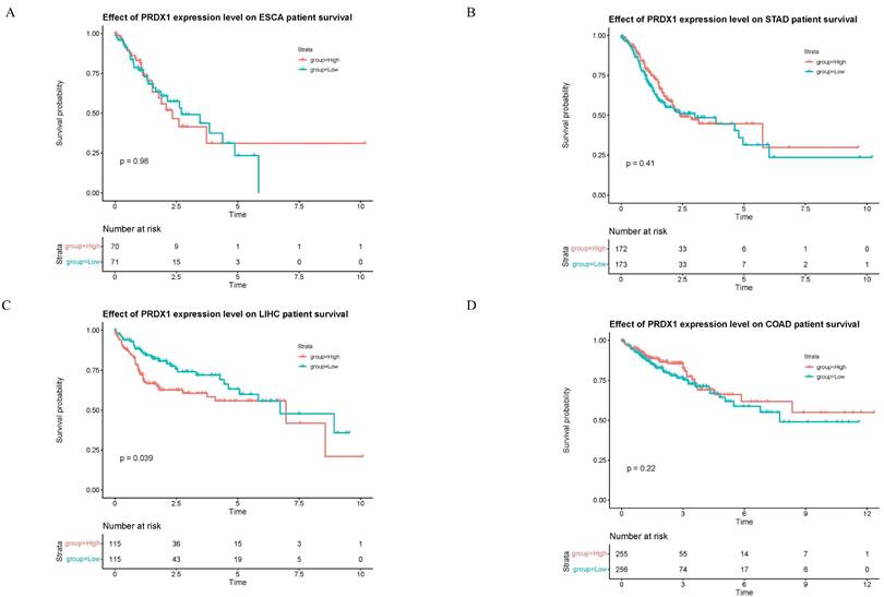 J Cancer Image