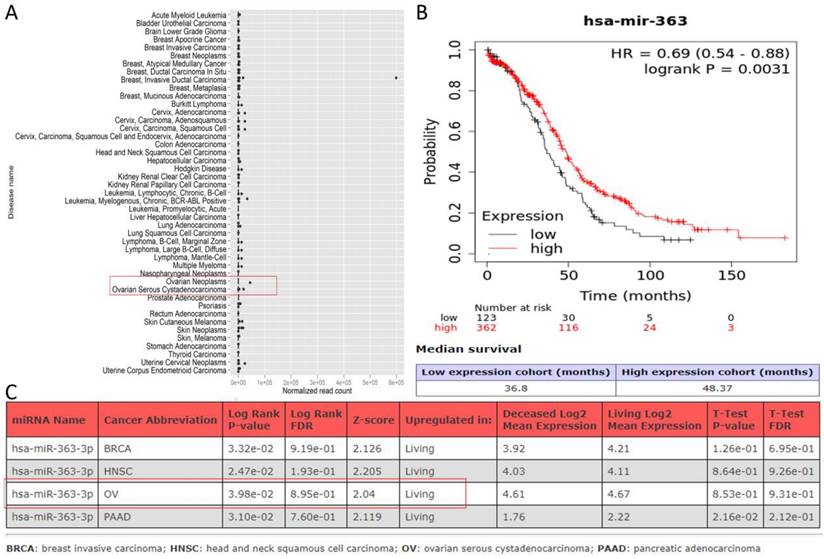 J Cancer Image