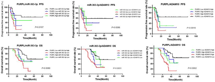 J Cancer Image