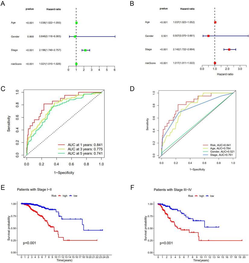 J Cancer Image