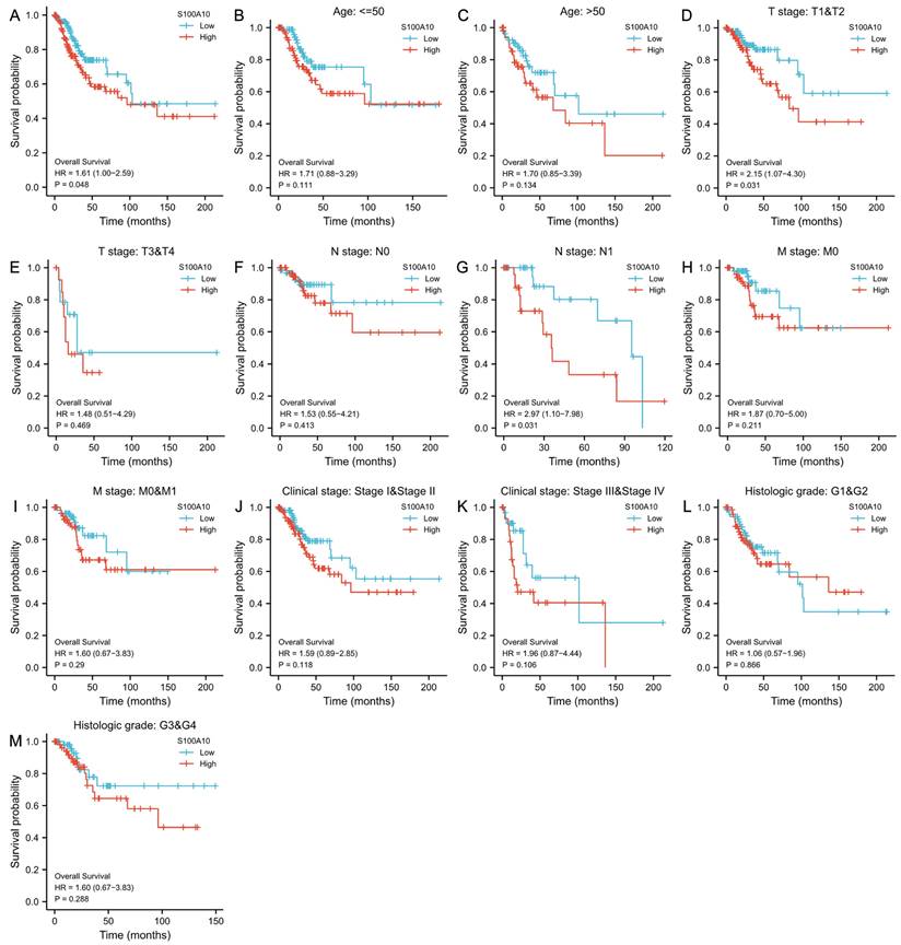 J Cancer Image