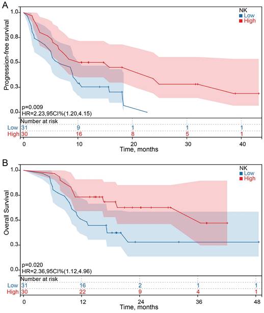 J Cancer Image