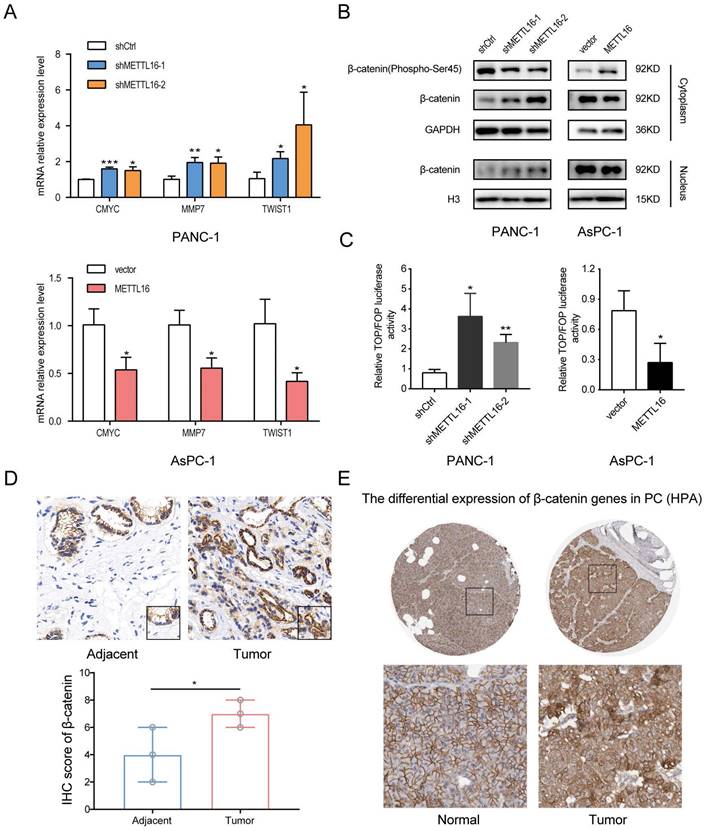 J Cancer Image