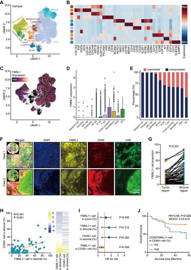 J Cancer Image